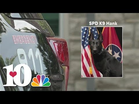 TBI: One dead, four hurt and K-9 shot in Sevier Co. after deputies attempt arrest; victim identified