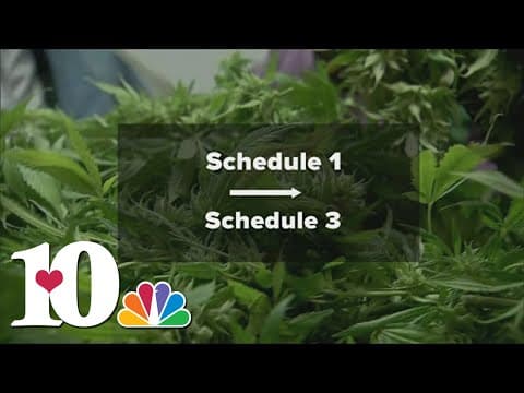 Community leaders discuss future of marijuana in Tennessee