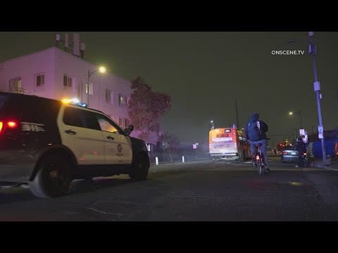 Gunman hijacks LA bus, kills a passenger, police say