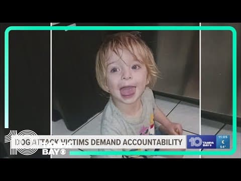 Calls for accountability after recent dog attacks