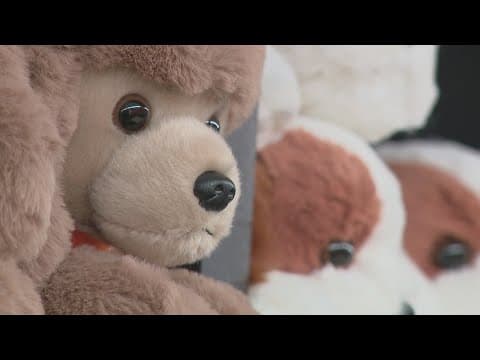 'Battle Pups': One family's mission to spread joy to those recovering from trauma