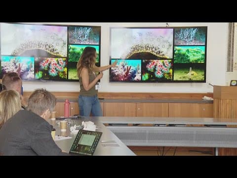 WAVES festival brings movers and shakers together to shape San Diego's future