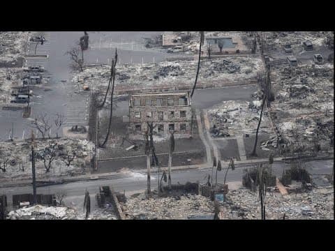 Ohio Task Force 1 activates K-9 teams to assist following Maui wildfires