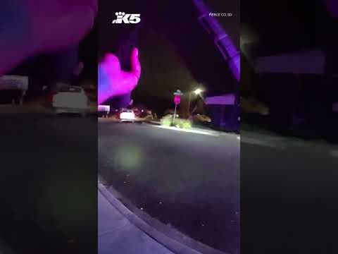 Bodycam footage shows arrest of suspect in multiple I-5 shootings