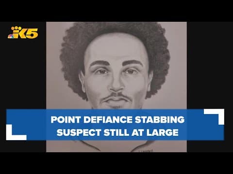 Point Defiance Park stabbing suspect remains at large