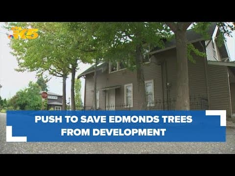 Developer plans to chop 5 mature trees for Edmonds apartment complex