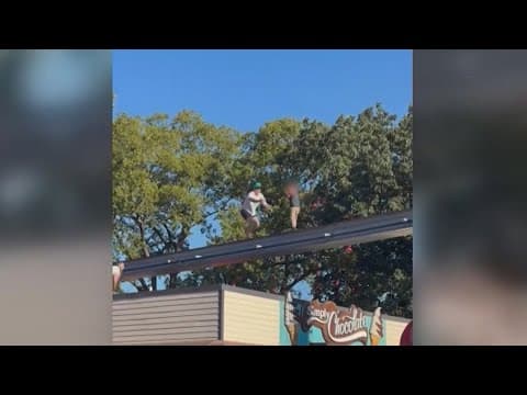 Boy rescued from monorail tracks at Hersheypark
