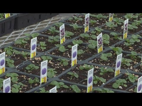 Winter is prime time for gardeners to plant the seeds of success