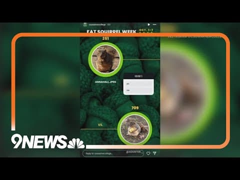 CSU crowns Fat Squirrel Week champion