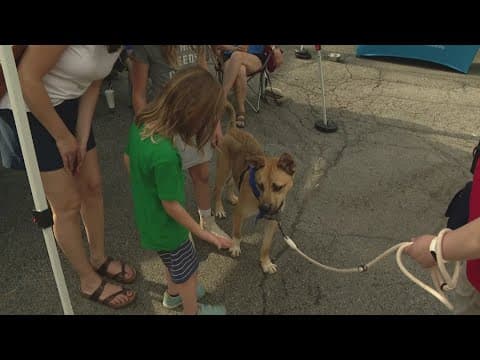 Tales & Ales pet adoption event held Thursday in Broad Ripple