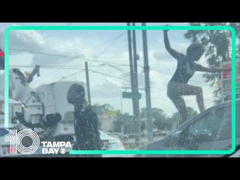 Tampa, Florida, road rage incident caught on video as troopers ask for public's help