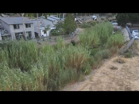 City efforts to clean storm channels in southeast San Diego