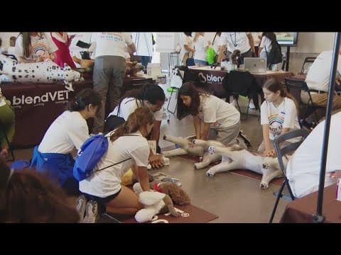 South Bay students get hands-on experience in veterinary medicine