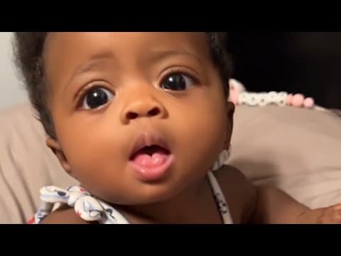 Texas lawmakers push laws on dangerous dogs