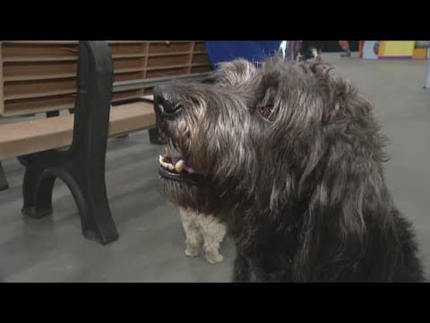 2025 San Diego County Fair returns to Del Mar