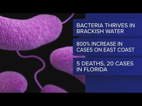 Number of flesh-eating bacteria cases in Florida rises