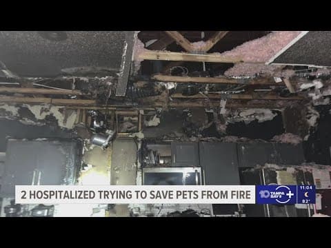 HCFR: Spring Hill house fire leaves 2 dogs dead, 2 people hospitalized