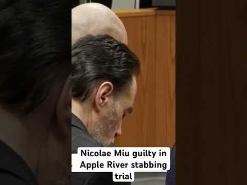 Nicolae Miu found guilty in Apple River stabbing case