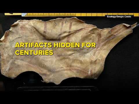 Medieval sandal found in vulture nest in Spain | Ancient discovery