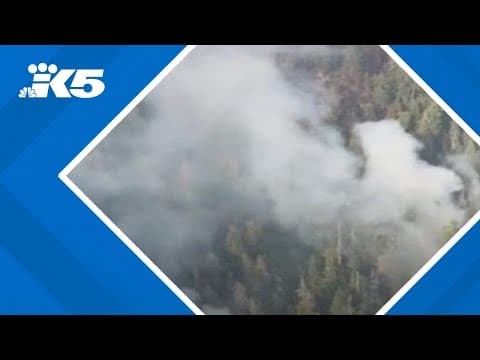 Bear Gulch Fire showing new growth Bear Gulch Fire showing new growth