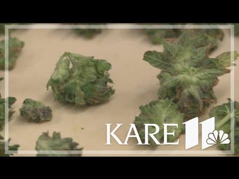 Minnesota House set to vote on legalization of marijuana