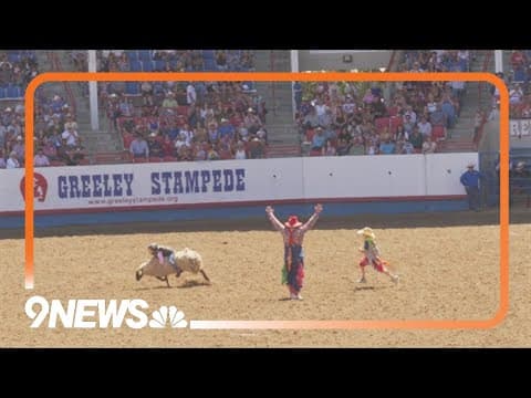 Mutton bustin' fun at the Greeley Stampede