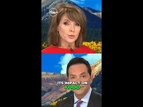 More people relying on food banks for groceries, as government shutdown enters day 15