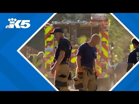 Burien man sparks brush fire while trying to get rid of bee hive