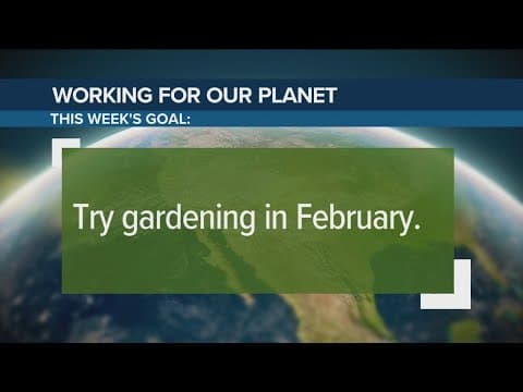 Gardening in February | Best seeds to plant during the winter