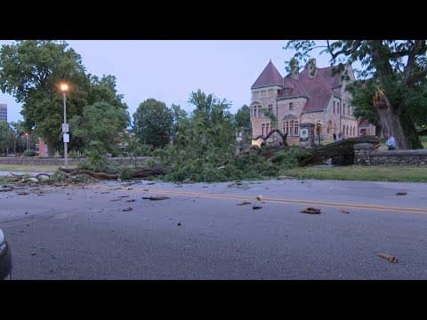 Indianapolis man killed, wife injured from falling tree limb in South Bend