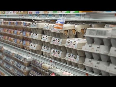 Egg prices climb ahead of Christmas