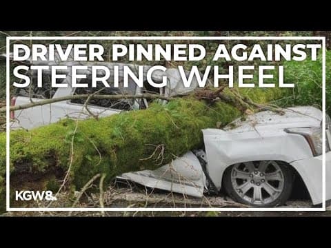 Tree crashes into SUV traveling to Doernbecher Children's Hospital