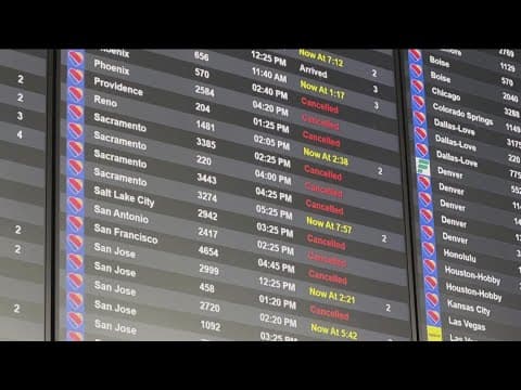 Flight canceled? Lost luggage? Experts give advice about what you can do