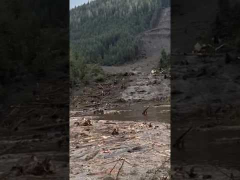 Fourth family member – an 11-year-old girl – found dead after Alaska landslide, authorities say