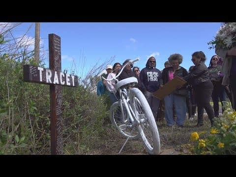 Woman killed in hit-and-run on St. Patrick's Day, police search for suspect
