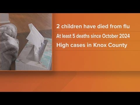Health department reports 2 pediatric flu deaths