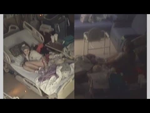 Appeals court will hear arguments in the 'Take Care of Maya' case