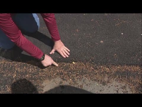 Scammers offering cheap home repairs hit 16 Silver Spring houses in one neighborhood