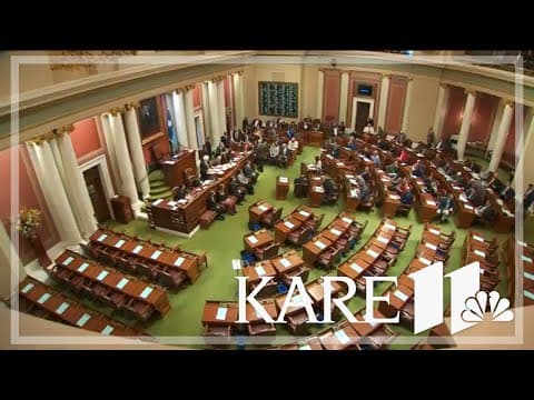 MN Supreme Court hears arguments on House split