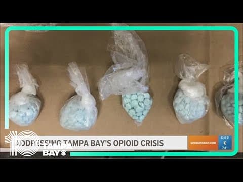 Hillsborough County discusses how to handle opioid crisis