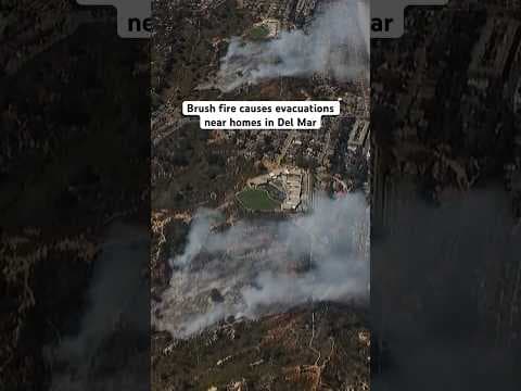 A brush fire caused evacuations, road closures near homes in Del Mar, California #fire