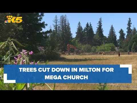 Dozens of trees removed from small Milton neighborhood to make room for megachurch