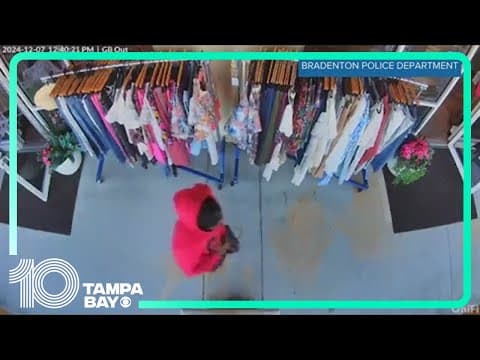 Police searching for suspect accused of stealing handgun from Bradenton shop