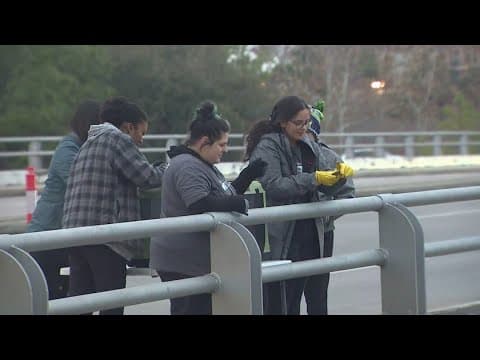 Cold-stunned bats released back into habitat at Waugh Bridge