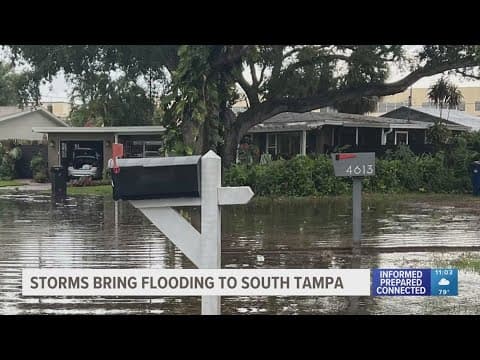 Storms bring flooding to South Tampa — and flashbacks to last year's hurricanes