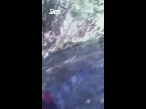 Assault suspects arrested in swamp