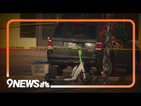 Woman accused in fatal stabbing has lengthy criminal record, history of mental health issues