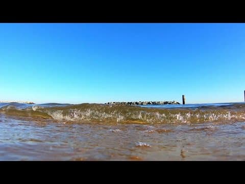 Biden administration invests $206M for Chesapeake Bay