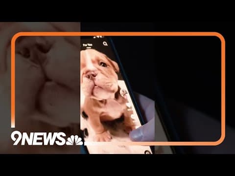 Biden signs bill that could ban TikTok, a strike years in the making