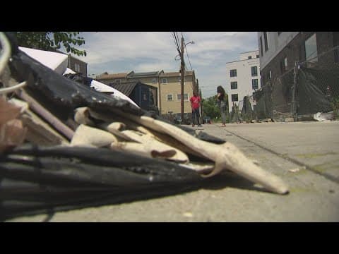 Illegal dumping in DC causing rodent issues